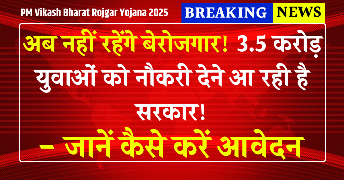 PM Vikash Bharat Rojgar Yojana 2025: अब नहीं रहेंगे बेरोजगार! 3.5 करोड़ युवाओं को नौकरी देने आ रही है सरकार! जानें कैसे करें आवेदन